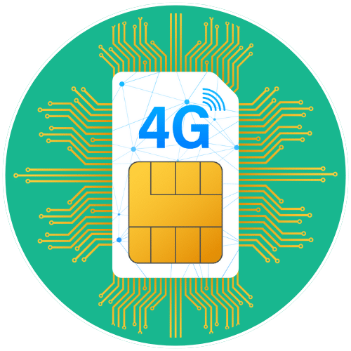 sim owner details icon