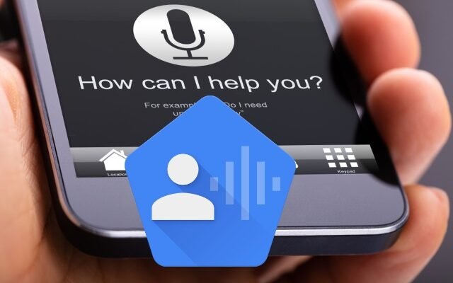 voice assist voice control
