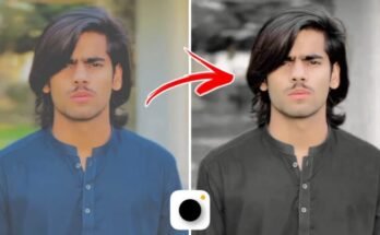 WhatsApp Image 2024 04 01 at 19.55.44 34e65132 735x400 1