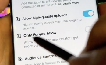 Understanding the "Only For You" Allow Option on TikTok