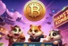 Hamster Kombat Token Set to Launch on September 26: What You Need to Know